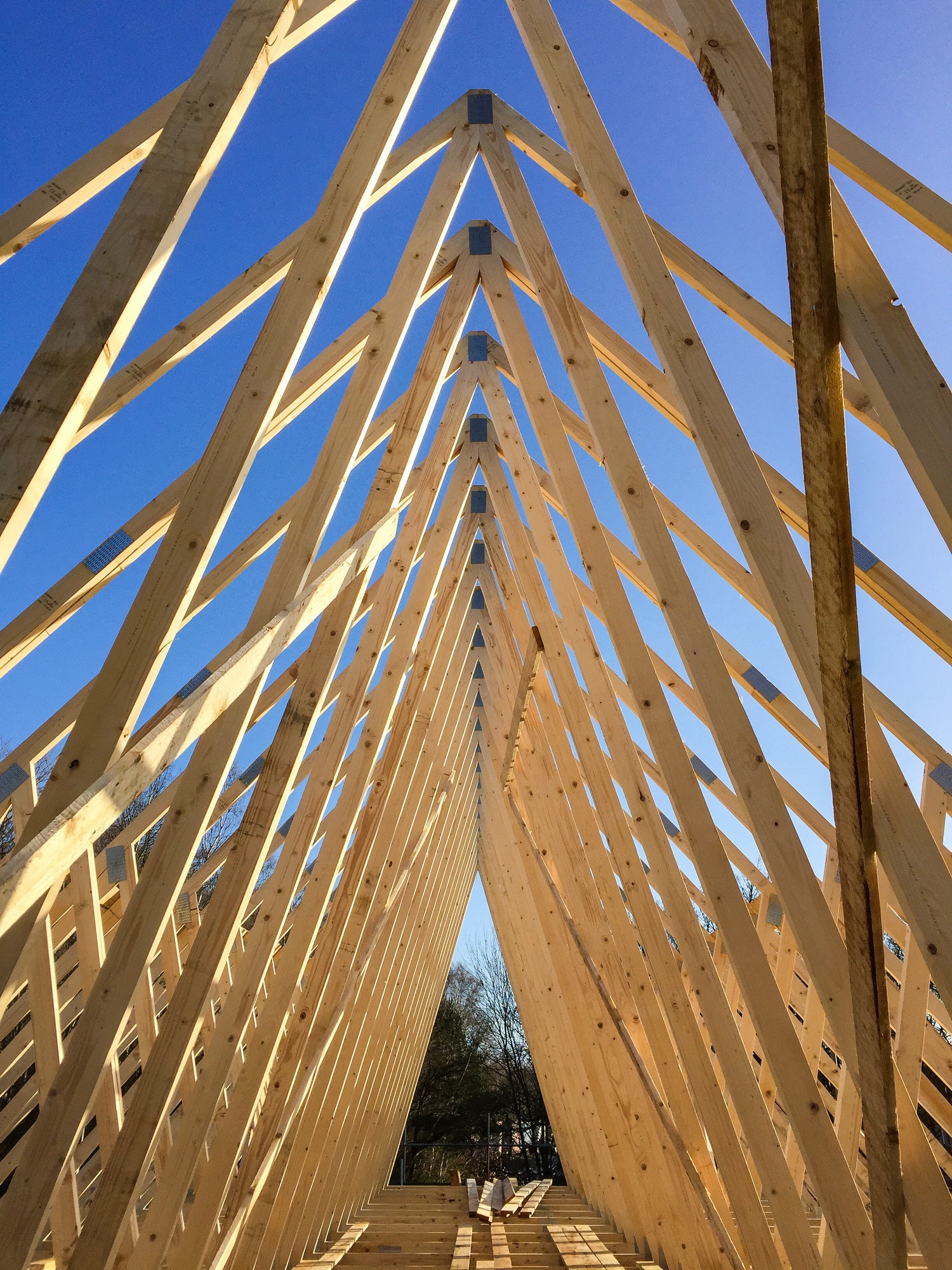 Timber roof trusses being installed on a new development